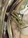 Рюкзак штурмовий Virtus MTP Assault 17L RSH фото 9